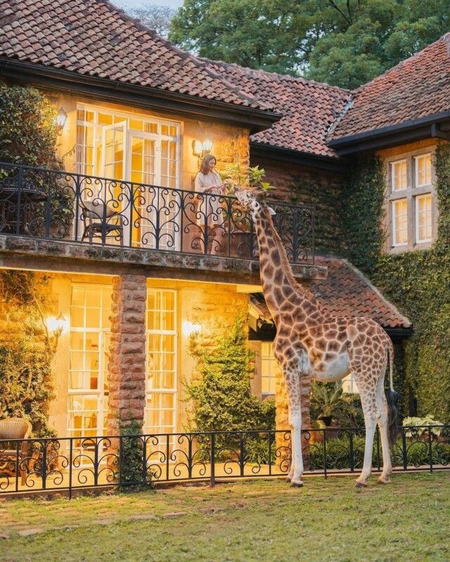 Colonial Lodge Experience