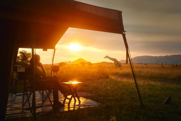 Serengeti Waterhole Safari background 4